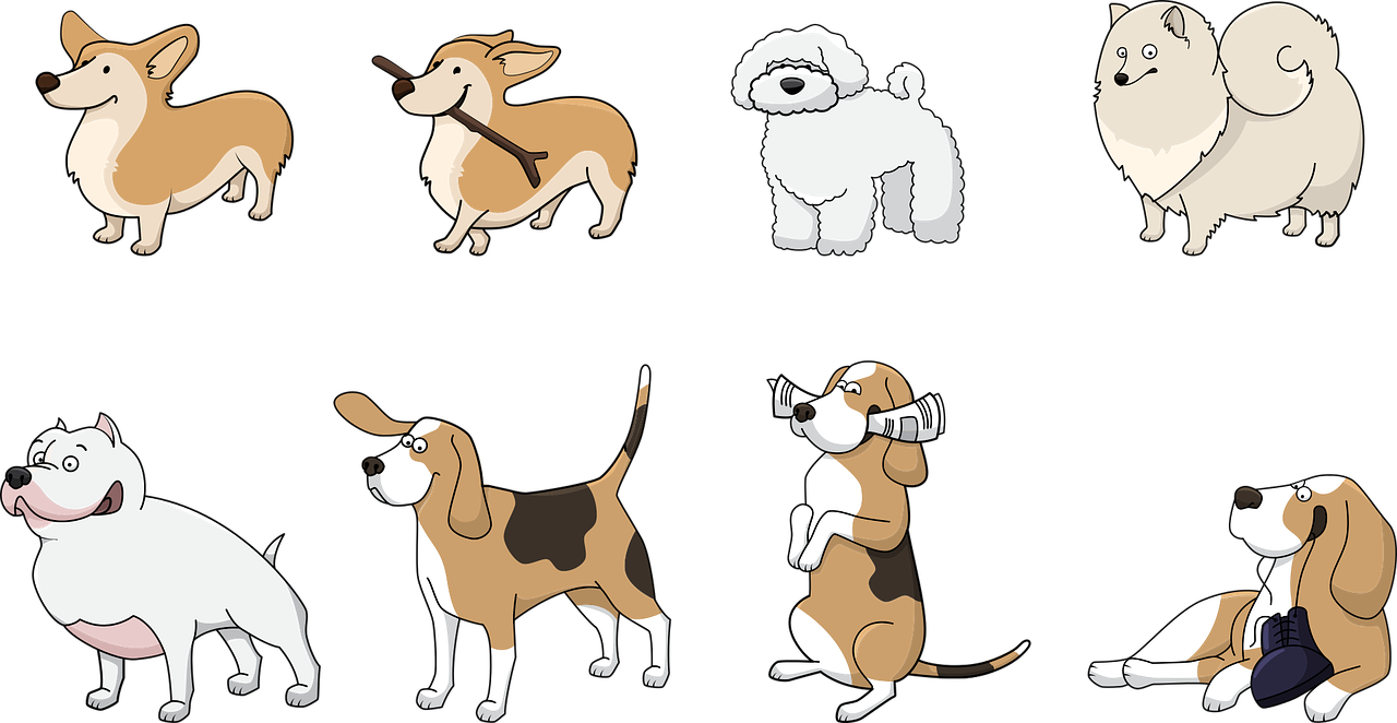犬の種類では小型なミックス犬チワックスがかわいくて飼いやすい 飼い主ならではの視点で紹介 生活お役立ちブログ